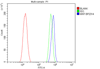 MNT Rabbit Polyclonal Antibody