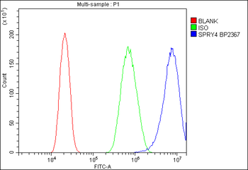 Sprouty 4/Spry-4/SPRY4 Rabbit Polyclonal Antibody