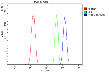 U2AF65/U2AF2 Antibody