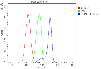 USP15 Rabbit Polyclonal Antibody