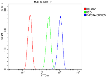 VPS4A Rabbit Polyclonal Antibody