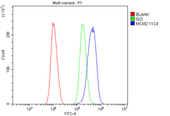 MCM2 Mouse Monoclonal Antibody