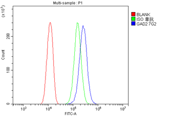 GAD65/GAD2 Antibody (monoclonal, 7G2)