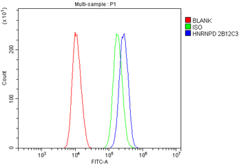 hnRNP D/AUF1/HNRNPD Mouse Monoclonal Antibody