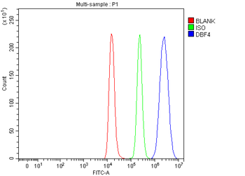 DBF4 Rabbit Polyclonal Antibody