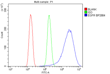 EGFR Antibody