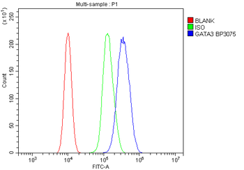 GATA3 Rabbit Polyclonal Antibody