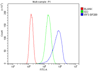 IRF3 Antibody