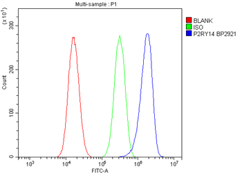 P2Y14/P2ry14 Antibody