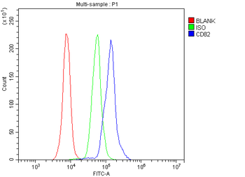 CD82 Rabbit Polyclonal Antibody