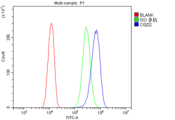 CISD2 Rabbit Polyclonal Antibody