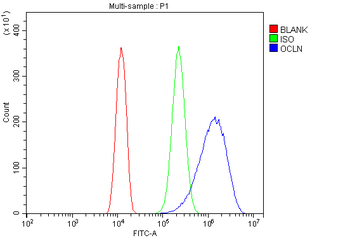 Occludin/OCLN Rabbit Polyclonal Antibody