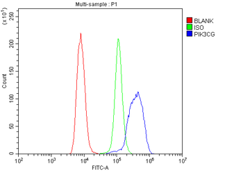 PI3K-gamma/PIK3CG Antibody