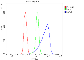 Rab9/RAB9A Rabbit Polyclonal Antibody