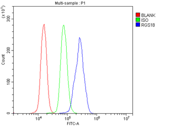 RGS18 Rabbit Polyclonal Antibody