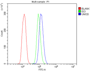 UMOD Antibody