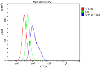Afm Antibody