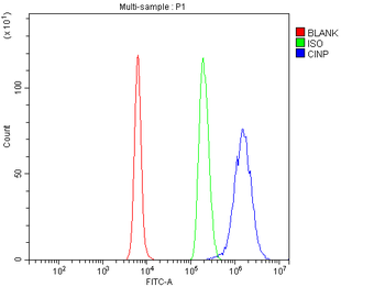 CINP Rabbit Polyclonal Antibody
