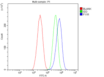JAM-A/F11R Antibody