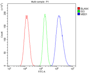 MBD1 Antibody