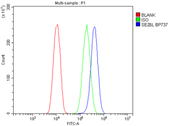SEZ6L Rabbit Polyclonal Antibody