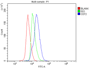 CD72 Rabbit Polyclonal Antibody