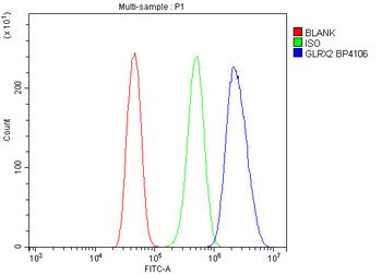 GRX2/GLRX2 Antibody
