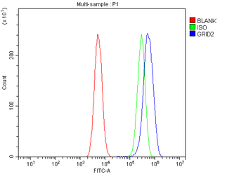 GRID2 Rabbit Polyclonal Antibody
