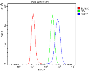 GRID2 Rabbit Polyclonal Antibody