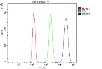 PSME2 Rabbit Polyclonal Antibody