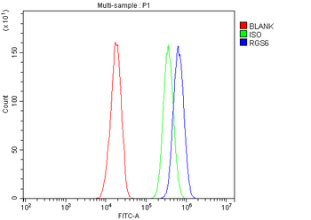 RGS6 Rabbit Polyclonal Antibody