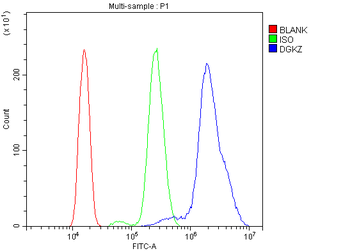 DGKZ/DGK-zeta/DGK Rabbit Polyclonal Antibody