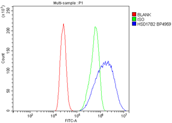 HSD17B2 Rabbit Polyclonal Antibody
