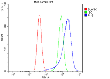 PI-16/PI16 Antibody