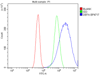 DFFA/ICAD Rabbit Polyclonal Antibody