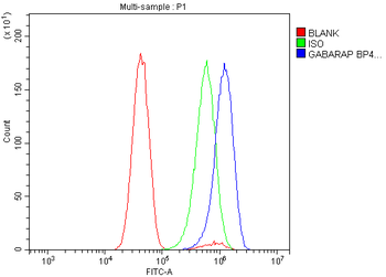 GABARAP Antibody