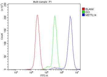 METTL14 Rabbit Polyclonal Antibody