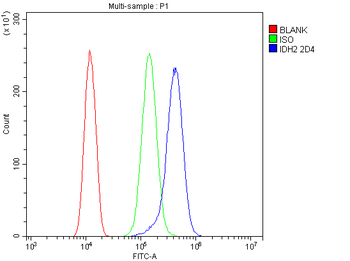 IDH2 Mouse Monoclonal Antibody