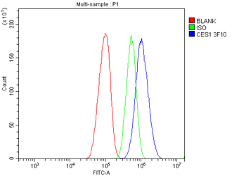 Liver Carboxylesterase 1/CES1 Antibody (monoclonal, 3F10)