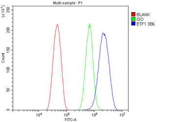 eRF1/ETF1 Antibody (monoclonal, 3B6)