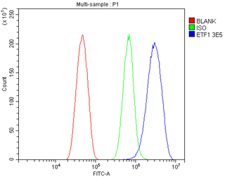 eRF1/ETF1 Antibody (monoclonal, 3E5)