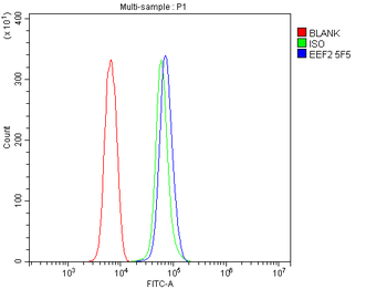 EEF2 Antibody (monoclonal, 5F5)