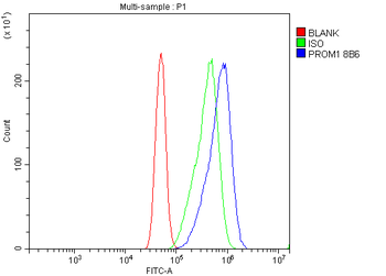 PROM1/CD133 Antibody (monoclonal, 8B6)