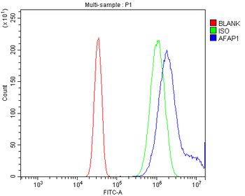 AFAP/AFAP1 Antibody