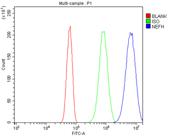 Nefh Rabbit Polyclonal Antibody