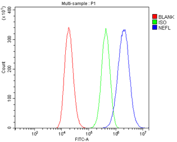 NEFL/NF-L Antibody