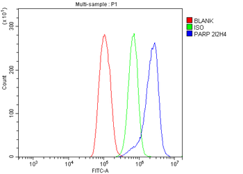 PARP/PARP1 Antibody (monoclonal, 2I2H4)