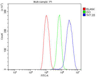 Transketolase/TKT Antibody (monoclonal, 2I3)