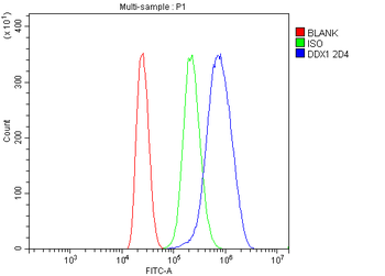 DDX1 Mouse Monoclonal Antibody