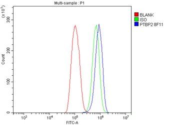 PTBP2 Antibody (monoclonal, 8F11)